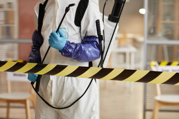Professional Sewage Cleanup technician working in Lewisville, IN